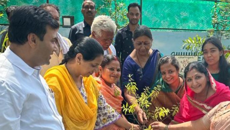 शादी की वर्षगांठ पर महापौर धीरज बाकलीवाल ने परिवार के साथ किया पौधारोपण:
