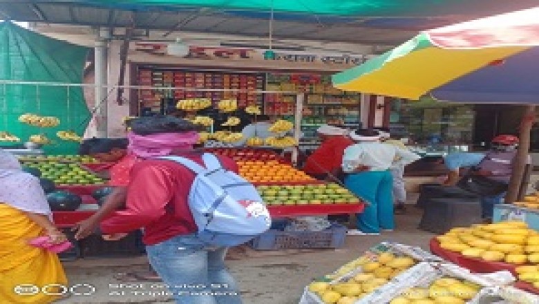 मोतीपुर क्षेत्र में चला निगम का प्रतिबंधित प्लास्टिक अभियान...
