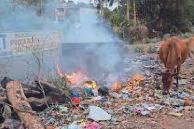 सफाई बेपटरी: टाउनशिप में कचरा उठाने की नई व्यवस्था फेल, हर रोज 40 टन कचरा निकल रहा, उठ रहा सिर्फ 20 टन...