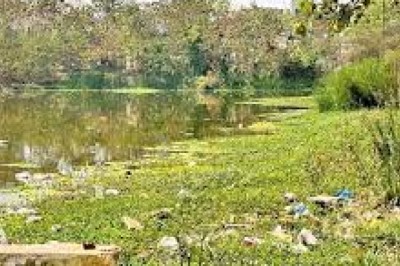 पोलसाय पारा तालाब से उठ रही बदबू सफाई कराने 15 दिन का अल्टीमेटम...