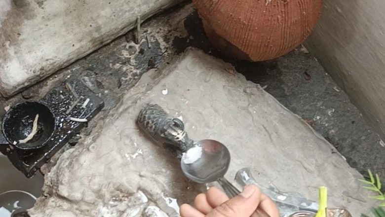 सावन के पहले दिन में नंदी पी रहे पानी, चम्मच मुंह से लगाते ही नंदी पी जाते हैं पानी...