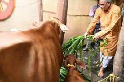 छत्तीसगढ़ में हरेली तिहार : सीएम बघेल ने हरेली तिहार पर अत्याधुनिक तकनीक में जन्मे बछिया की पूजा अर्चना की...