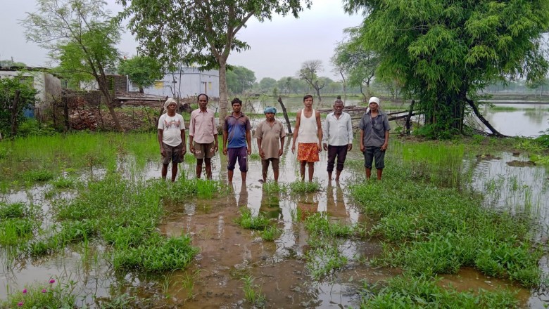 किसान हुए परेशान : धामनसरा के किसानो का दुःख दर्द कोई नही सुनता,...