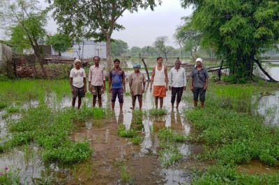 किसान हुए परेशान : धामनसरा के किसानो का दुःख दर्द कोई नही सुनता,...