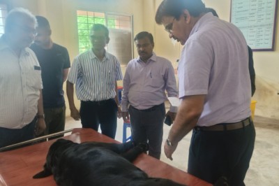 संभागायुक्त एवं कुलपति कावरे ने पशु चिकित्सालय पदमनाभपुर दुर्ग में दी दबिश, दिए कर्मचारी को निलंबित करने के निर्देश...
