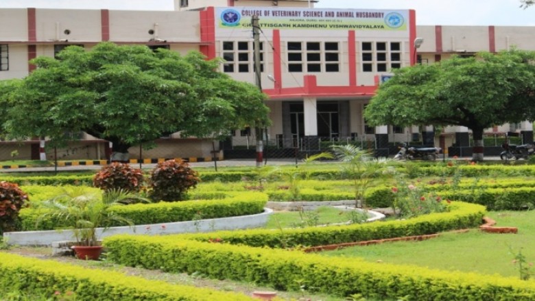 बी.व्ही.एस.सी. एण्ड ए.एच. पाठ्यक्रम 2023-24 की प्रवेश जारी...