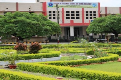 बी.व्ही.एस.सी. एण्ड ए.एच. पाठ्यक्रम 2023-24 की प्रवेश जारी...