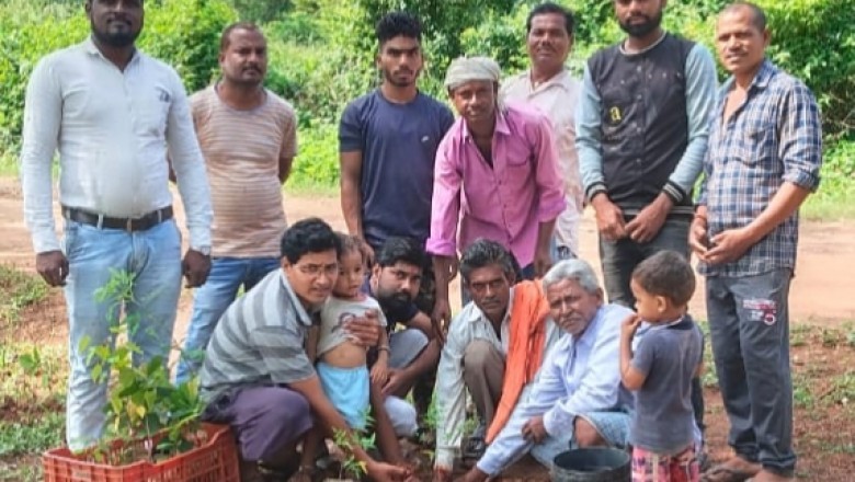 आज़ादी के 75 वां वर्ष के अमृतकाल के पावन उत्सव के उपलक्ष्य में ग्राम में वृक्षारोपण कार्य किया गया
