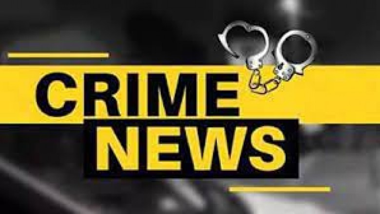 वनरक्षक पर जानलेवा हमला : युवकों ने सिर पर फोड़ी बियर की बॉटल, किया लहुलुहान....