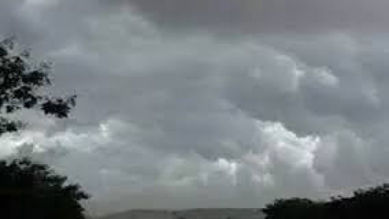 छत्तीसगढ़ मानसून अपडेट :9 जिलों में हल्की से मध्यम बारिश, रायपुर समेत कई जिलों में छाए रहेंगे बादल....