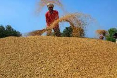 1 नवंबर से होगी धान खरीदी: 125 लाख मीट्रिक टन धान खरीदने का लक्ष्य....