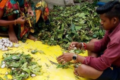 रेशम से जुड़कर आर्थिक स्थिति हुई मजबूत :खेती किसानी के साथ हो रही अतिरिक्त आय...कोसा कीटपालन बना जीवन यापन का प्रमुख साधन...