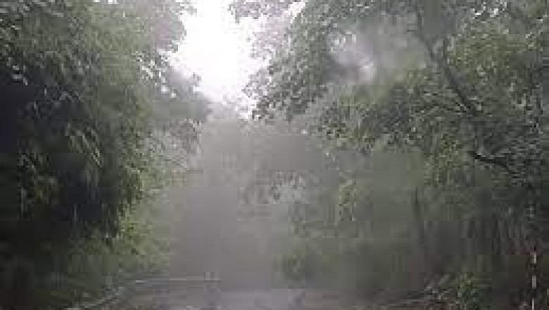 बस्तर संभाग में आज फिर बरसेंगे बादल :सरगुजा, दुर्ग, बिलासपुर में बनी रहेगी मानसून की सक्रियता....रायपुर सहित कई जिलों में हल्की बारिश की संभावना....