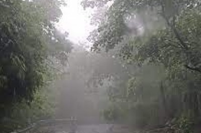 बस्तर संभाग में आज फिर बरसेंगे बादल :सरगुजा, दुर्ग, बिलासपुर में बनी रहेगी मानसून की सक्रियता....रायपुर सहित कई जिलों में हल्की बारिश की संभावना....