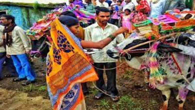 पोला पर्व : इस पौराणिक घटना के कारण इस त्यौहार का नाम पड़ा पोला...जानिए क्या है वजह....