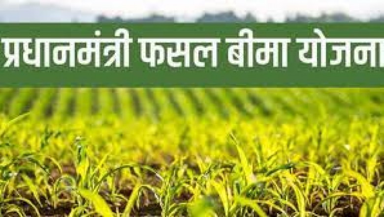 रबी 2022-23 में प्रधानमंत्री फसल बीमा योजनान्तर्गत दावा राशि का भुगतान...किया जा रहा समस्या का समाधान....