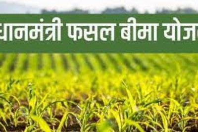 रबी 2022-23 में प्रधानमंत्री फसल बीमा योजनान्तर्गत दावा राशि का भुगतान...किया जा रहा समस्या का समाधान....