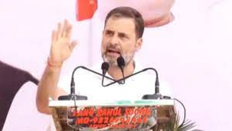 राहुल गांधी के दौरे को लेकर कांग्रेस में उत्साह....सुशील आनंद ने कहा- वो जो कहते हैं, करते हैं, उनके आने से होगा बहुत फायदा....