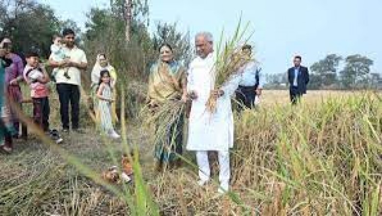 मुख्यमंत्री भूपेश बघेल ने सपरिवार मनाई ‘बढ़ौना’ की रस्म,.....