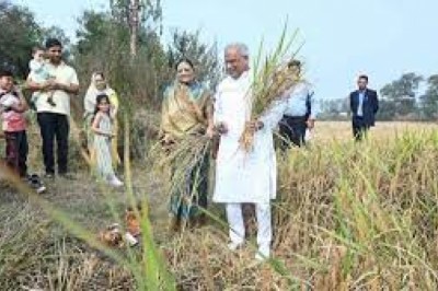 मुख्यमंत्री भूपेश बघेल ने सपरिवार मनाई ‘बढ़ौना’ की रस्म,.....