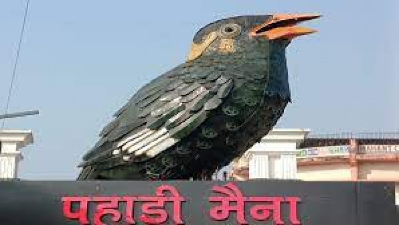पहाड़ी मैना की प्रतिमा रायपुर की बढ़ा रही शोभा.....100 किलो कबाड़ से राजकीय पक्षी को किया गया है तैयार....