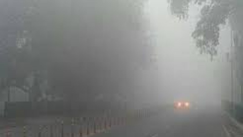 कड़ाके की ठंड के बीच स्कूलों के समय में बदलाव, कलेक्टर ने जारी किया आदेश