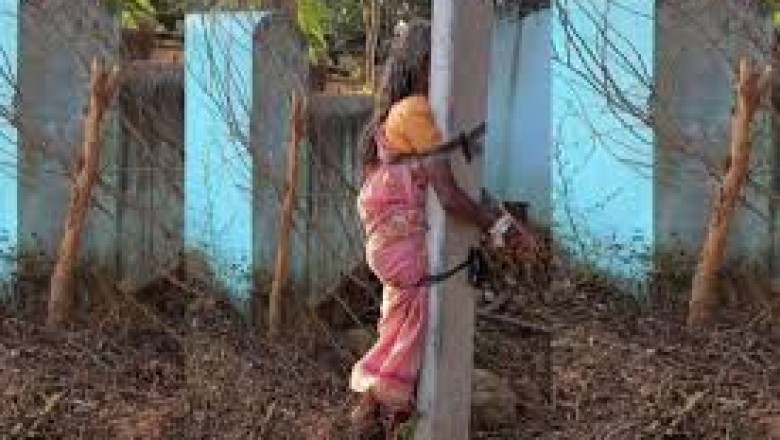 मां के लिए हैवान बना बेटा...खंभे से बांधा ,बेटे ने दी फूल गोभी तोड़ने की  सजा