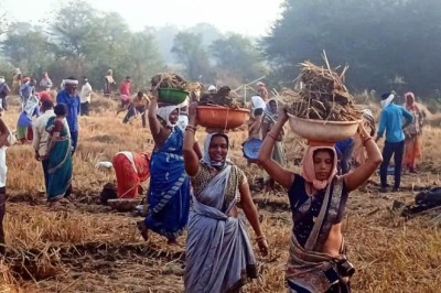 जिले में मनरेगा के माध्यम से 62 हजार श्रमिको को मिला काम, राज्य में प्रथम स्थान