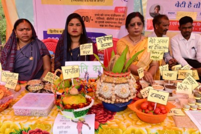 विकसित भारत संकल्प यात्रा के तहत मोबाईल वैन शासकीय योजनाओं की जानकारी देने पहुंची ग्राम धामनसरा