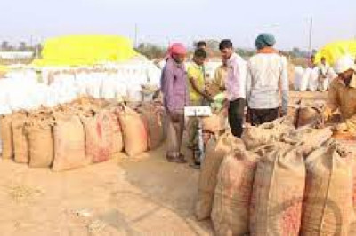 सेलूद समिति में धान खरीदी का कार्य पूरा हुआ