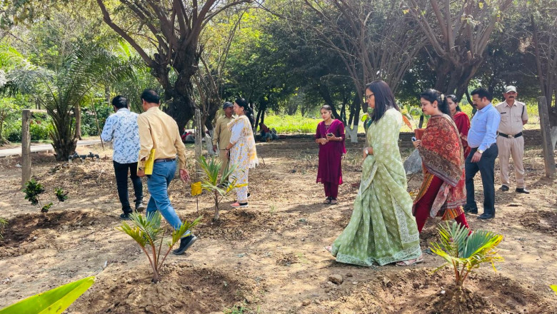 साथी परियोजना के अंतर्गत तालपुरी में बनेगी क्षेत्रीय कृषि उत्पादों की मंडी साथी बाजार में उत्पादों के भण्डारण हेतु उपलब्ध होगा 5000 मि.टन का कोल्डस्टोरेज