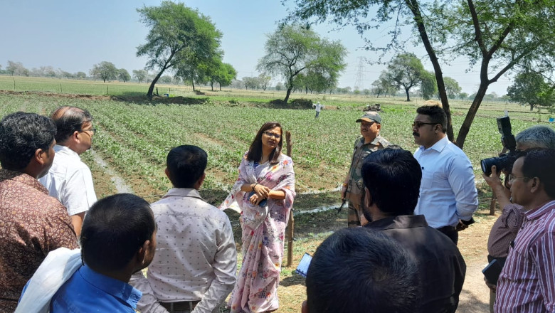 बारिश से हुई फसल नुकसान देखने कलेक्टर पहुंची खेतों में