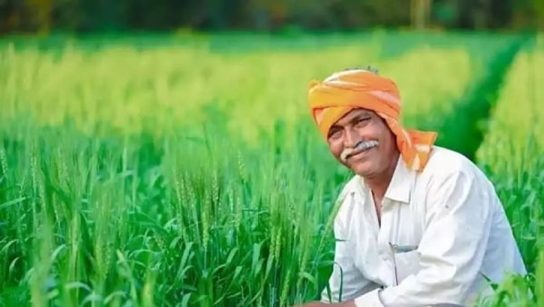 CM मोहन यादव ने किया बड़ा ऐलान, कहा- बिना चमक वाला गेहूं भी खरीदेंगे किसानों के लिए राहत भरी खबर