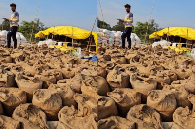 गायब हुई थी  2 करोड़ की धान की बोरियां… सहकारिता विभाग लीपापोती में जुटा!