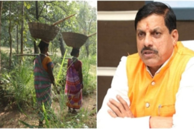 DFO को निर्देश जारी , मोहन सरकार का बड़ा फैसला15 हजार से अधिक आदिवासियों पर दर्ज वन अपराध होंगे वापस.....