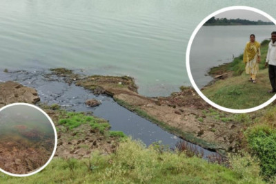 शराब फैक्ट्री से निकला केमिकल युक्त पानी नदी में मिल रहा, फसलों को हो रहा नुकसान,  प्रबंधक को SDM ने जारी किया नोटिस...
