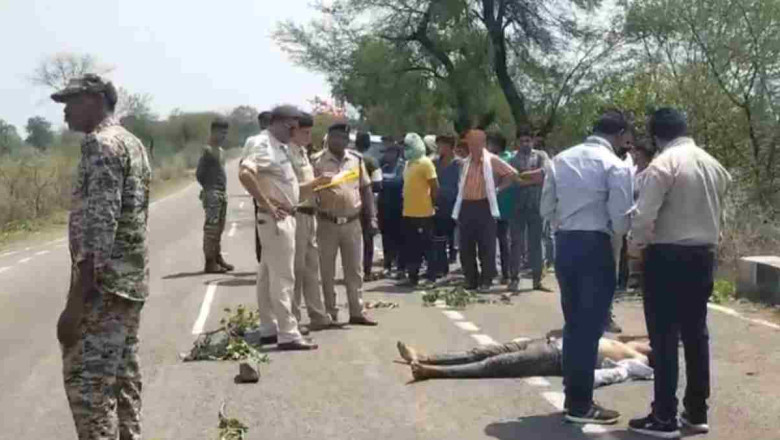 खैरागढ़ मुख्य मार्ग पर पूर्व जिला पंचायत सदस्य के बेटे की मिली लाश, हत्या की आशंका...
