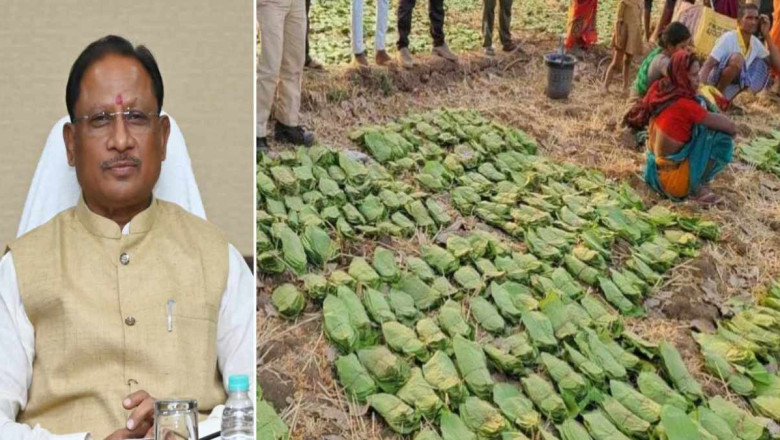 मोदी की गारंटी का हर वादा हो रहा पूरा, हरे सोने का दे रहे अच्छा दाम, आदिवासी भाई-बहनों के जीवन में आएगी खुशहाली – विष्णुदेव साय...