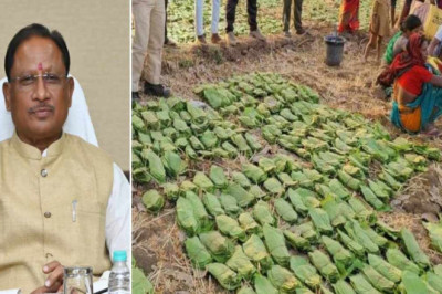 मोदी की गारंटी का हर वादा हो रहा पूरा, हरे सोने का दे रहे अच्छा दाम, आदिवासी भाई-बहनों के जीवन में आएगी खुशहाली – विष्णुदेव साय...