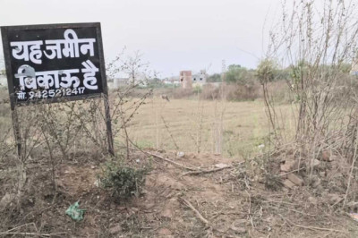 अवैध प्लाटिंग पर कलेक्टर की सख्ती, जमीन राजसात करने के साथ कारोबारी पर ठोका एक लाख का जुर्माना, पटवारी के खिलाफ भी हुई कार्रवाई…