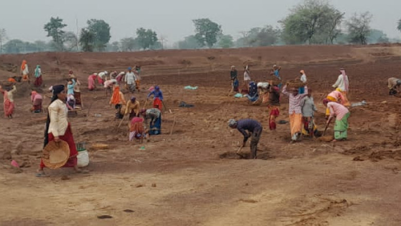 ग्राम पंचायत भेड़ीकला में मनरेगा का कार्य जोरों पर