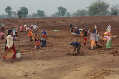 ग्राम पंचायत भेड़ीकला में मनरेगा का कार्य जोरों पर
