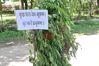 विश्व पर्यावरण दिवस पर निःशुल्क पौधे उपलब्ध रहेगे