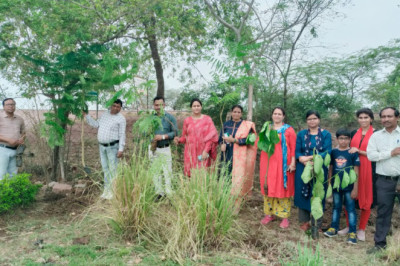 विश्व पर्यावरण दिवस पर कृषि महाविद्यालय और अनुसंधान केंद्र ढोलिया में किया गया वृक्षारोपण