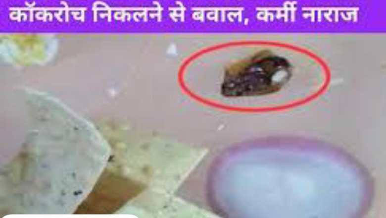 भिलाई बीएसपी की कैंटीन में खाने में निकाला कॉकरोच BTI में ट्रेनिंग ले रहे स्टाफ के साथ हुई घटना, कॉकरोच देखकर कई कर्मचारियों को होने लगी उलटी हंगामे के बाद महाप्रबंधक ने दिया कार्यवाही का आश्वासन....