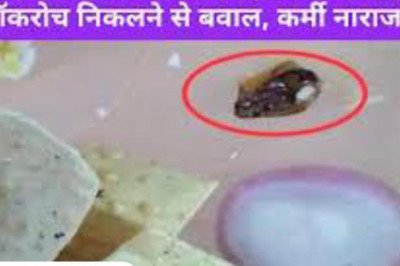 भिलाई बीएसपी की कैंटीन में खाने में निकाला कॉकरोच BTI में ट्रेनिंग ले रहे स्टाफ के साथ हुई घटना, कॉकरोच देखकर कई कर्मचारियों को होने लगी उलटी हंगामे के बाद महाप्रबंधक ने दिया कार्यवाही का आश्वासन....