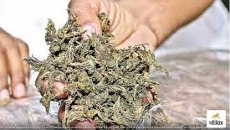 महाराष्ट्र के 6 तस्कर बस्तर से गिरफ्तार, चेकिंग के दौरान पुलिस ने लाखों की कीमत का गांजा किया जब्त