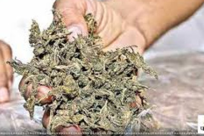 महाराष्ट्र के 6 तस्कर बस्तर से गिरफ्तार, चेकिंग के दौरान पुलिस ने लाखों की कीमत का गांजा किया जब्त