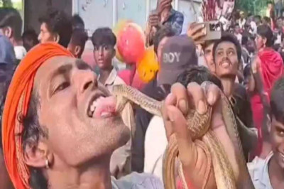 KISS किया विषैले सांप को ,युवक का वीडियो वायरल...