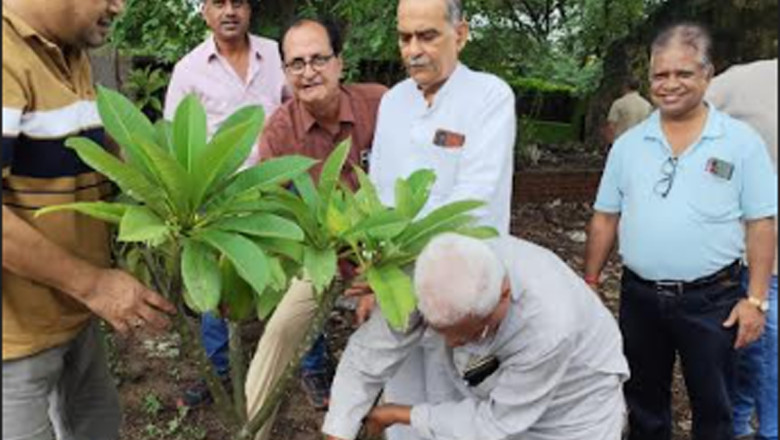 बालाजी मंदिर समिति ने किया पौधरोपण
